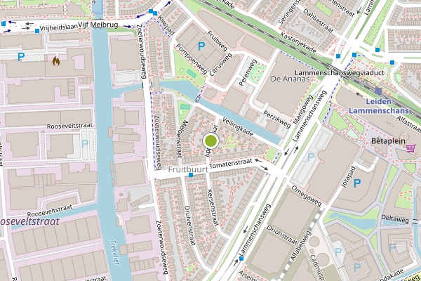 Ambulance-melding op Appelstraat, Leiden op 30 juni, kaart-overzicht