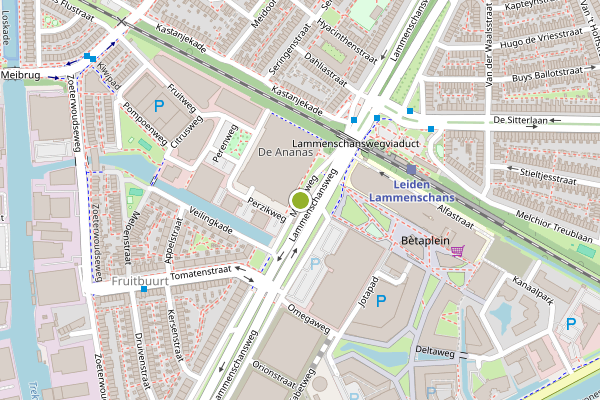 Ambulance-melding op Mangoweg, Leiden op 16 juli, kaart-overzicht