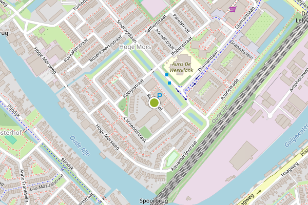 Ambulance-melding op Robijnhof, Leiden op 18 juli, kaart-overzicht