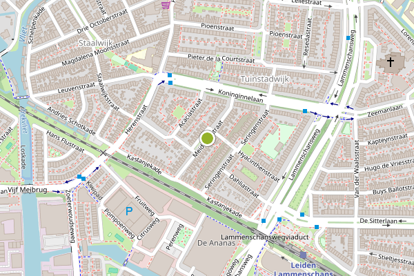 Ambulance-melding op Meidoornstraat, Leiden op 30 juli, kaart-overzicht
