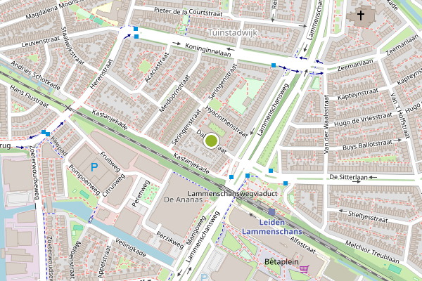 Ambulance-melding op Dahliastraat, Leiden op 2 augustus, kaart-overzicht