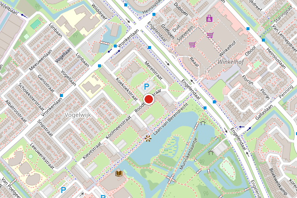 Brandweer-melding op Roodborststraat, Leiderdorp op 28 mei, kaart-overzicht