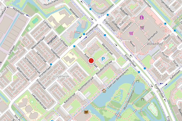 Brandweer-melding op Koekoekstraat, Leiderdorp op 27 mei, kaart-overzicht