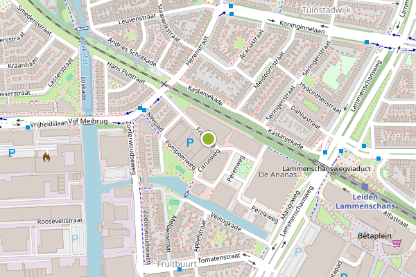 Ambulance-melding op Fruitweg, Leiden op 31 mei, kaart-overzicht