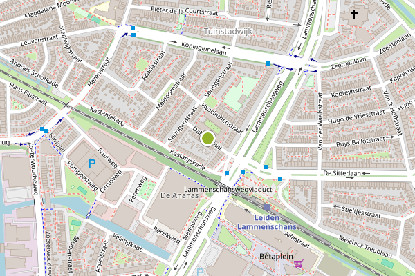 Ambulance-melding op Dahliastraat, Leiden op 2 juni, kaart-overzicht