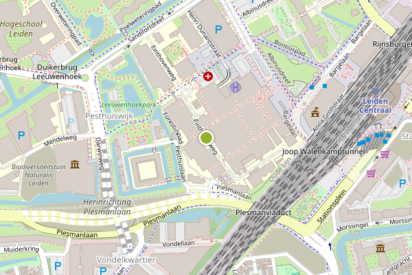Ambulance-melding op Einthovenweg, Leiden op 3 juni, kaart-overzicht
