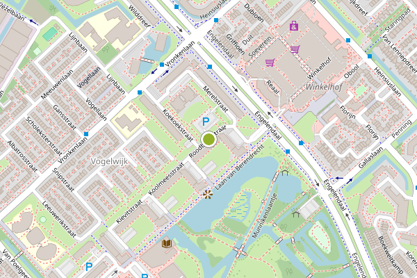 Ambulance-melding op Roodborststraat, Leiderdorp op 3 juni, kaart-overzicht