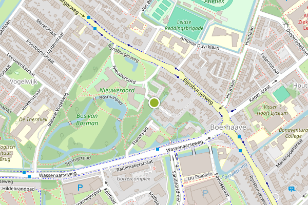 Ambulance-melding op Van Eijsingapark, Leiden op 4 juni, kaart-overzicht