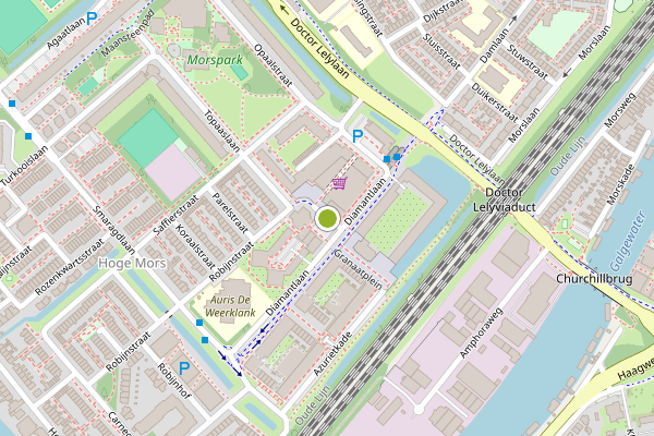 Ambulance-melding op Robijnstraat, Leiden op 4 juni, kaart-overzicht
