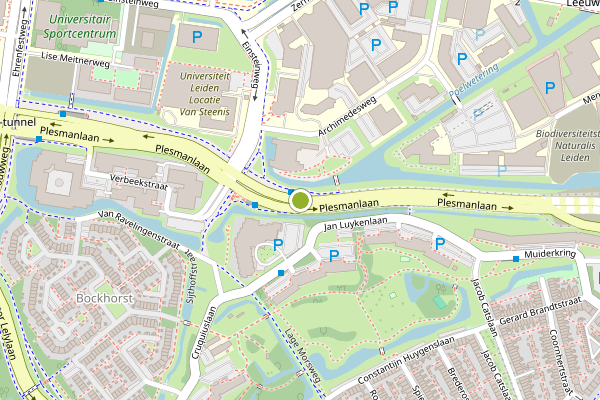 Ambulance-melding op Plesmanlaan, Leiden op 4 juni, kaart-overzicht