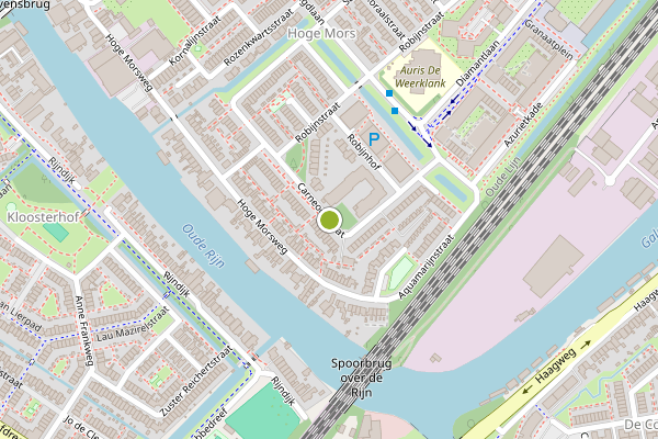 Ambulance-melding op Carneoolstraat, Leiden op 5 juni, kaart-overzicht