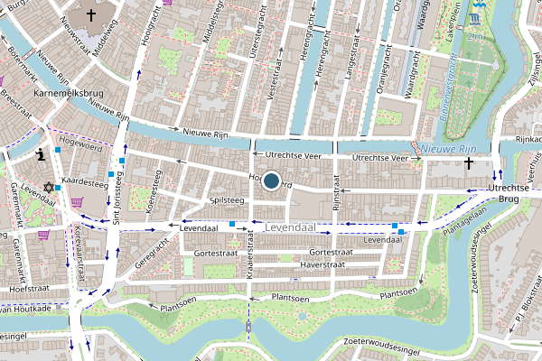 Politie-melding op Hogewoerd, Leiden op 5 juni, kaart-overzicht