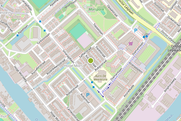 Ambulance-melding op Koraalstraat, Leiden op 6 juni, kaart-overzicht