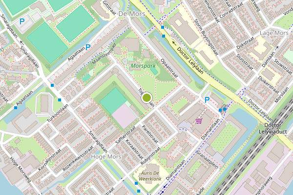 Ambulance-melding op Topaaslaan, Leiden op 8 juni, kaart-overzicht