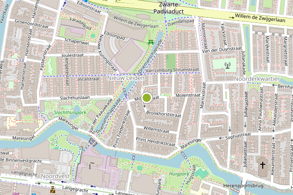Ambulance-melding op Molenstraat, Leiden op 8 juni, kaart-overzicht