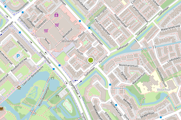 Ambulance-melding op Florijn, Leiderdorp op 12 juni, kaart-overzicht