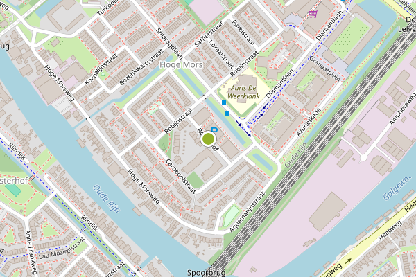 Ambulance-melding op Robijnhof, Leiden op 15 juni, kaart-overzicht