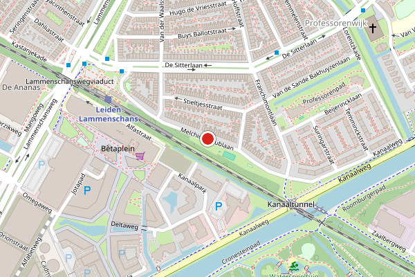 Brandweer-melding op Melchior Treublaan, Leiden op 15 juni, kaart-overzicht