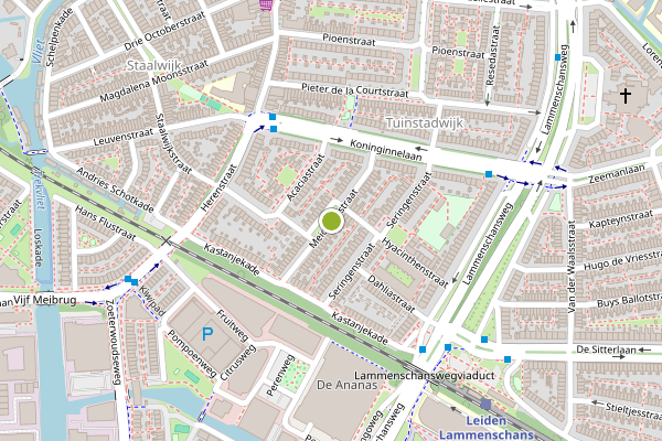 Ambulance-melding op Meidoornstraat, Leiden op 15 juni, kaart-overzicht