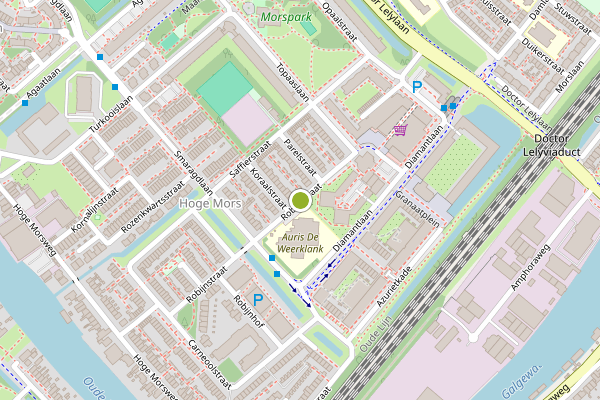Ambulance-melding op Robijnstraat, Leiden op 16 juni, kaart-overzicht
