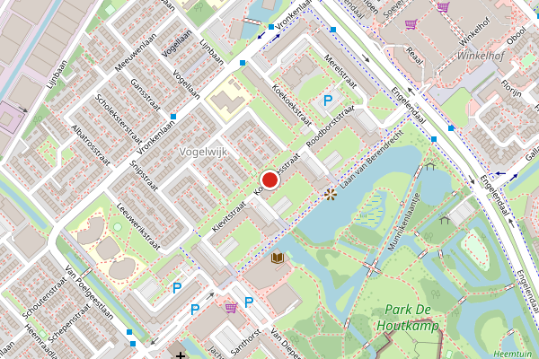 Brandweer-melding op Koolmeesstraat, Leiderdorp op 16 juni, kaart-overzicht