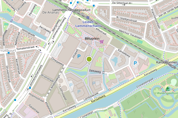 Ambulance-melding op Omegaplantsoen, Leiden op 17 juni, kaart-overzicht