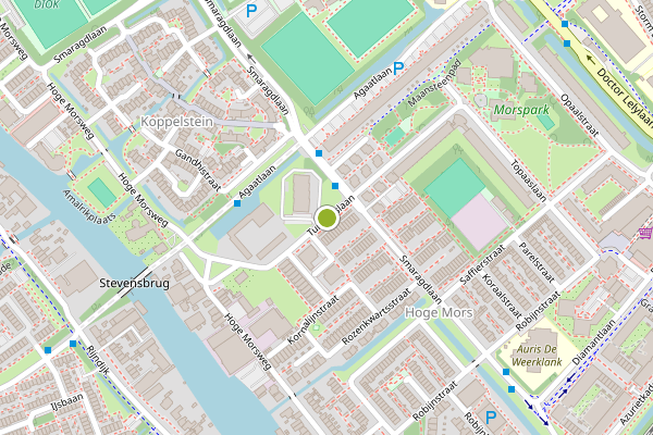 Ambulance-melding op Turkooislaan, Leiden op 17 juni, kaart-overzicht