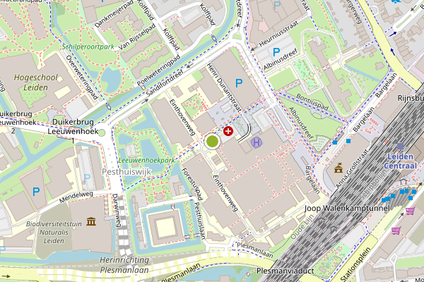 Ambulance-melding op Brugmansplein, Leiden op 18 juni, kaart-overzicht