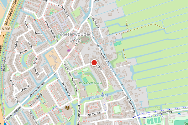 Brandweer-melding op Loethe, Zoeterwoude op 18 juni, kaart-overzicht