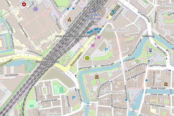 Ambulance-melding op Morssingelterrein, Leiden op 19 juni, kaart-overzicht