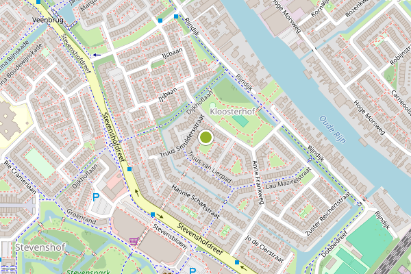 Ambulance-melding op Reina Prinsen Geerligspad, Leiden op 22 juni, kaart-overzicht