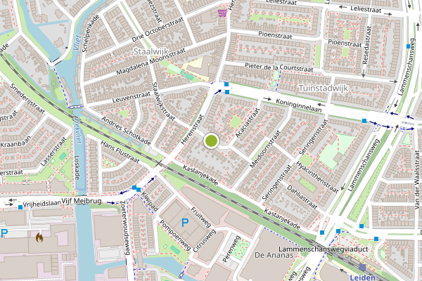 Ambulance-melding op Tulpenstraat, Leiden op 26 juni, kaart-overzicht