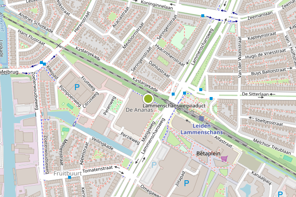 Ambulance-melding op Abrikozenweg, Leiden op 27 juni, kaart-overzicht